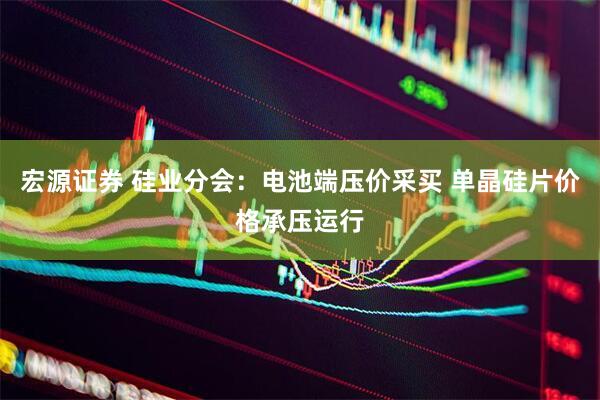 宏源证券 硅业分会：电池端压价采买 单晶硅片价格承压运行