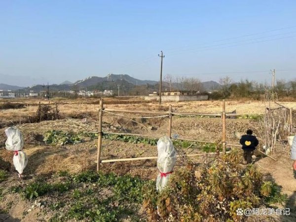 乐融配 六月十六早看天，一年不用问神仙：天象密码揭示农事规律