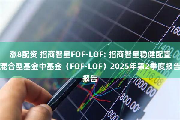 涨8配资 招商智星FOF-LOF: 招商智星稳健配置混合型基金中基金（FOF-LOF）2025年第2季度报告